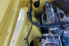 72-Cuda-Peter-Tytus-20211002110738-Medium