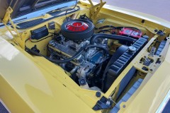 72-Cuda-Peter-Tytus-20211002110708-Medium