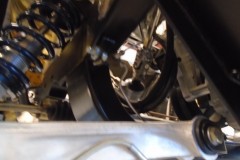 DSC00485-Medium