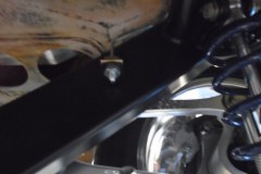 DSC00489-Medium