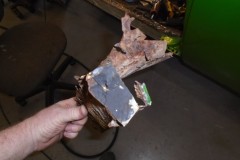 DSC00091-Medium