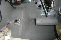 DSC00521