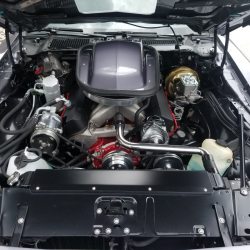 77 Trans-Am Engine Bay