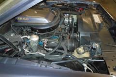 DSC00549-Medium